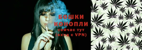 ГАЛЛЮЦИНОГЕННЫЕ ГРИБЫ Богородск